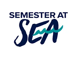 semsea.at